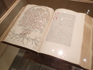 P9110494.JPG