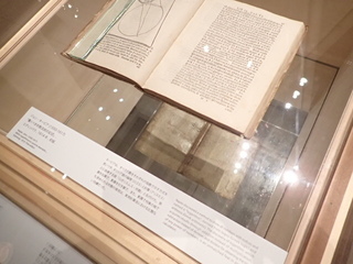 P9110510.JPG