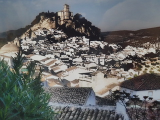 PA181130.JPG