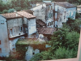 PA220699.JPG