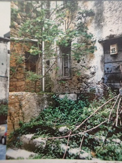 PA220700.JPG