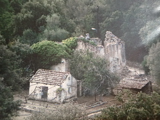 PA220710.JPG