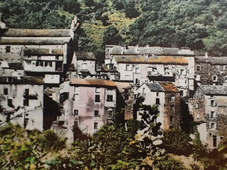 PA220756.JPG
