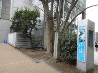 DSC00145.JPG