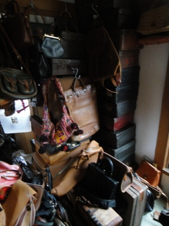 DSC00395.JPG