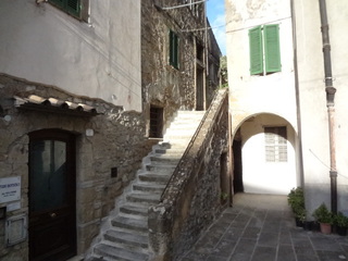 DSC02390.JPG
