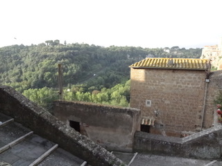 DSC02398.JPG