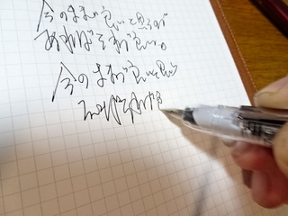 DSC06969.JPG