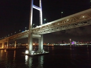 P5171685.JPG