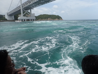 P5191752.JPG