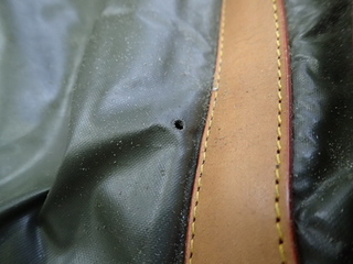 PB110018.JPG